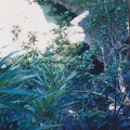 1998 Maui (92)
