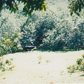 1998 Maui (94)