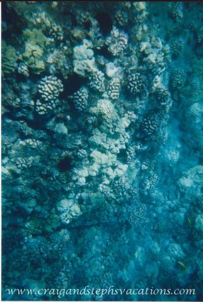 1998 Maui (217).jpg