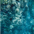 1998 Maui (217)