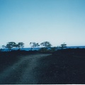 1998 Maui (226)
