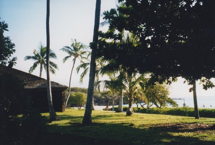 1998 Hawaii (135)