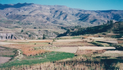 2002 Peru (87)