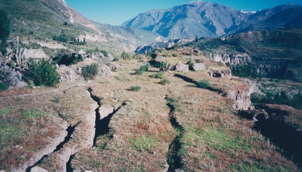 2002 Peru (97)