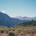 2002 Peru (105)