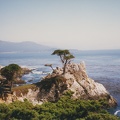 1997 California (69)