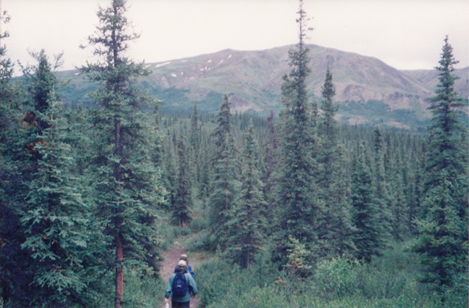 Denali Hike