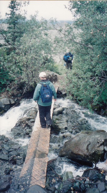 Hike to Root Glacier