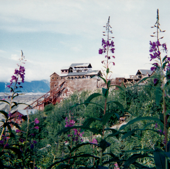 Adventure Alaska Day Hiker Adventure 7/20/2001 - 7/29/2001