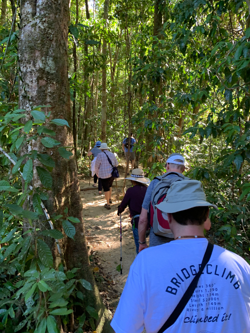 Daintree Rainforest
