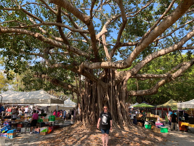 Port Douglas Sunday Market