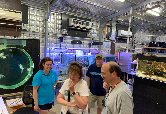 James Cook University Research Aquarium