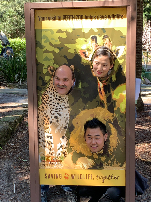 Just some wild animals hanging out at Perth Zoo