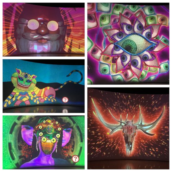 360 Experience