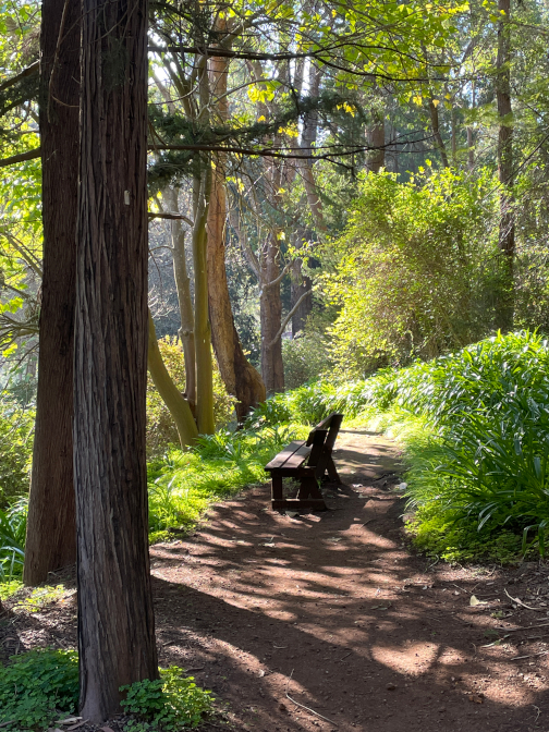 Araluen Botanic Park