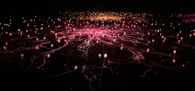 Field of Light