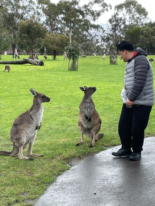Kangaroos look questioningly at Tshering Wangchuk