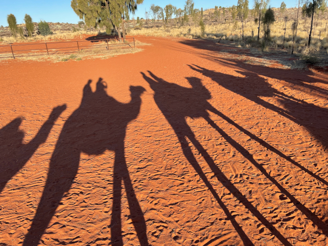Camel shadows