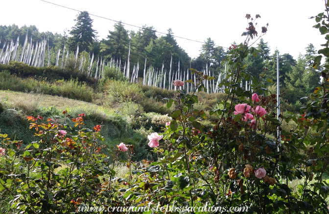Prayer flags in memory of Kezang, with roses