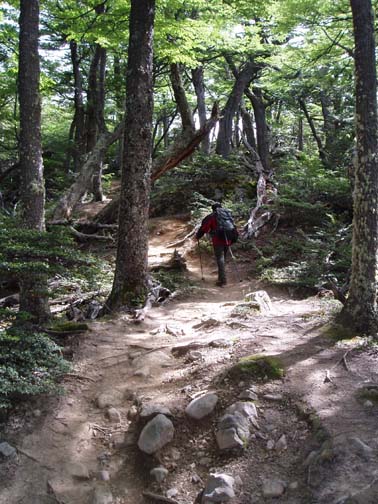 On the trail into the hanging valley On the trail into the hanging valley