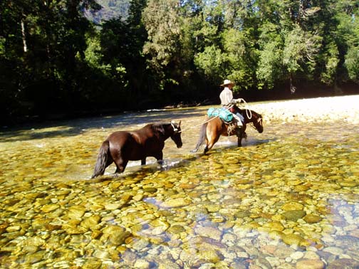 Scott leading his horse through the river Scott leading his horse through the river