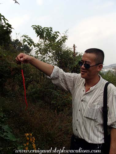 Now that's a chili pepper!