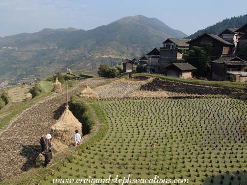 Toddler helps her grandparents in the fields, Tang'an Dong Village Toddler helps her grandparents in the fields, Tang'an Dong Village