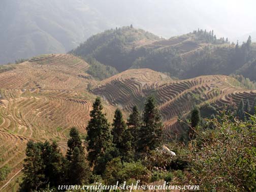 Longji Rice Terraces