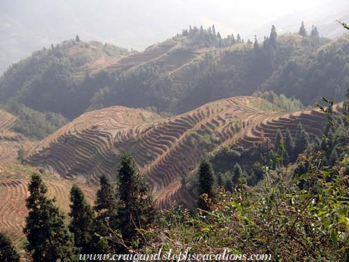 Longji Rice Terraces