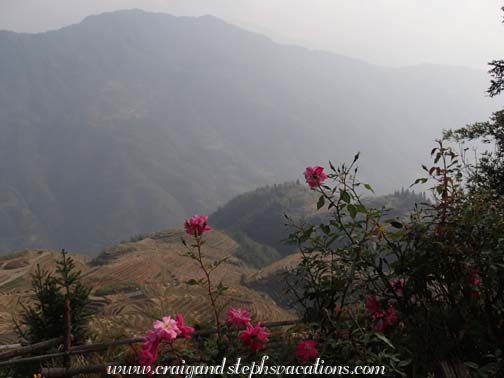 Longji Rice Terraces
