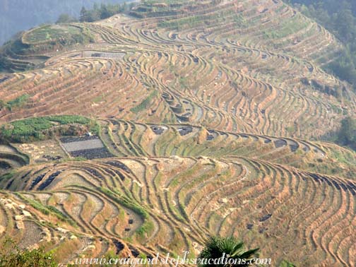 Longji Rice Terraces