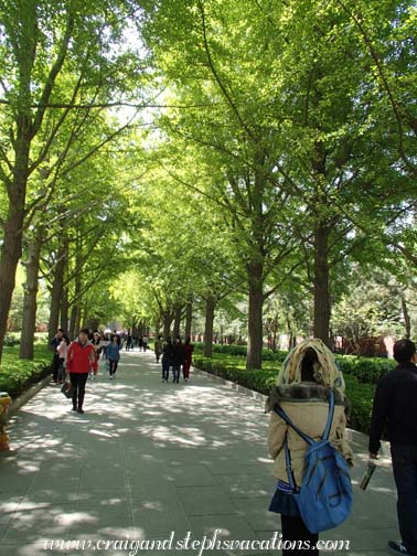 Gardens at the Lama Temple Complex