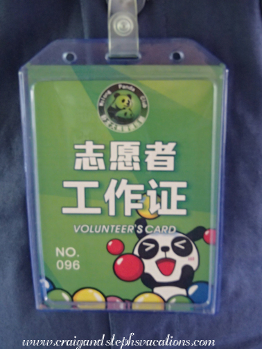 Adorable panda volunteer badge Adorable panda volunteer badge