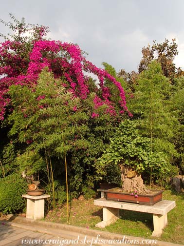 Gardens at Huangguoshu Waterfall National Park Gardens at Huangguoshu Waterfall National Park