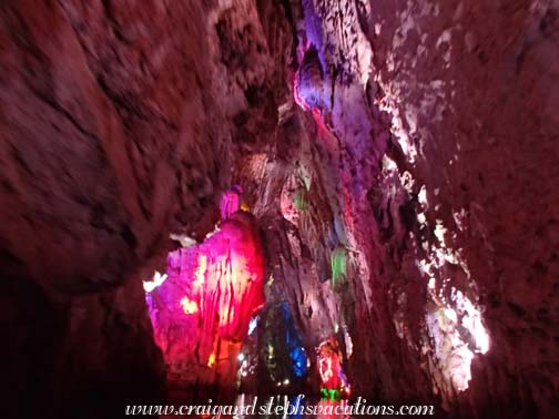 Dragon Palace Dragon Palace