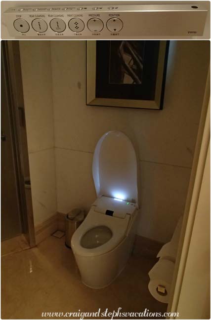 Our toilet and its control panel