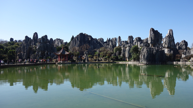 Stone Forest