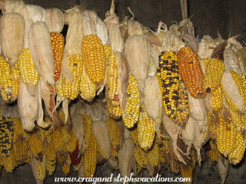 Dried corn, San Rafael Dried corn, San Rafael