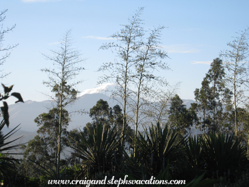 Cayambe Volcano Cayambe Volcano