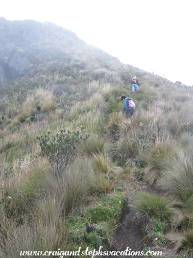Hiking Fuya Fuya Hiking Fuya Fuya