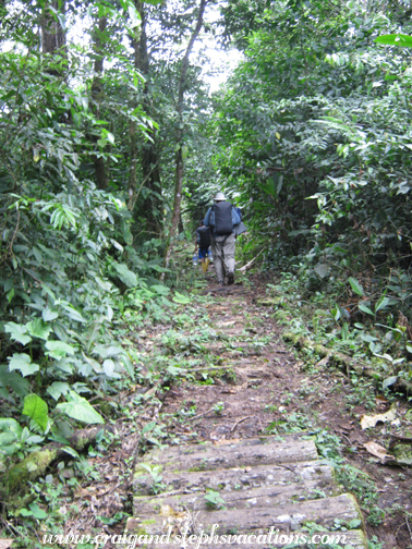 Hiking through the woods to the Waira Churis' camp