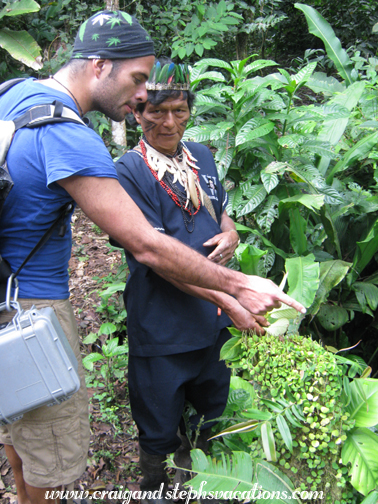Checking out the flora on our hike to the waterfall
