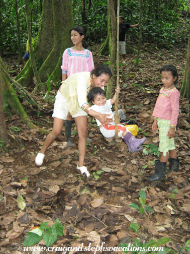 Tamia swings on a vine Tamia swings on a vine