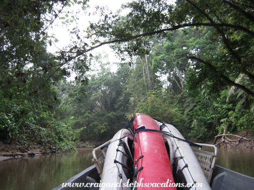 Heading upriver in a motorized canoe Heading upriver in a motorized canoe
