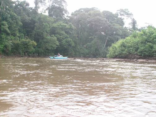 Felipe on the Shiripuno River Felipe on the Shiripuno River