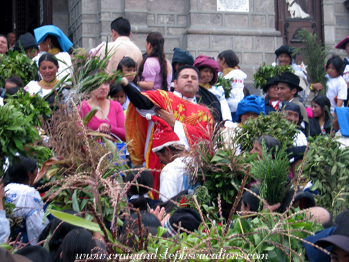 Priest blesses the plants
