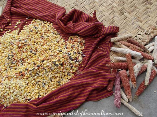 The cobs are as colorful as the kernels The cobs are as colorful as the kernels