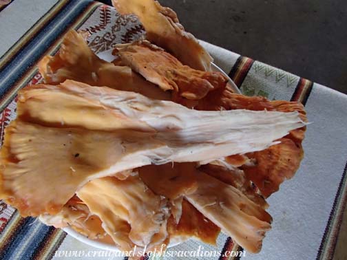 Mushrooms gathered by Abuelita