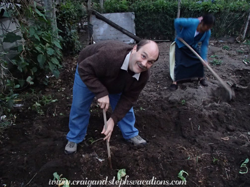 Craig helps to plant cabbage