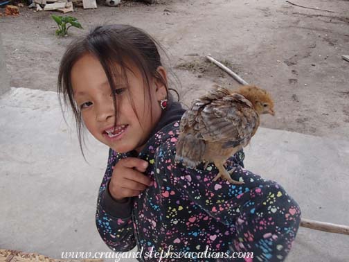 Sisa plays with the chicks